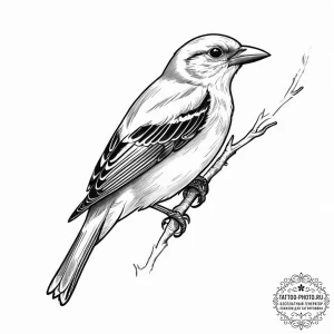 Tattoo sketch scarlet tanager, tattoo line ar... - эскиз тату (№1757026704_0, 04.09.2025 22:58) — tattoo-photo.ru