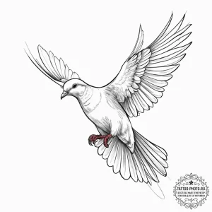 Tattoo sketch collared dove, ink illustration... - эскиз тату (№1757061159_0, 05.09.2025 08:32) — tattoo-photo.ru
