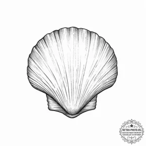 Tattoo sketch shell - эскиз тату (№1757061552_0, 05.09.2025 08:39) — tattoo-photo.ru