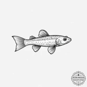 Tattoo sketch hillstream loach, artistic tatt... - эскиз тату (№1757164116_0, 06.09.2025 13:08) — tattoo-photo.ru