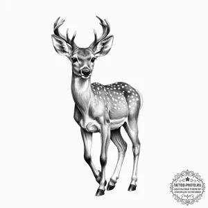 Tattoo sketch graceful fawn tattoo - эскиз тату (№1757179384_0, 06.09.2025 17:23) — tattoo-photo.ru
