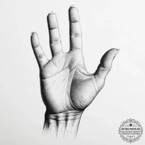 Tattoo sketch hands with a document, ink illu... - эскиз тату (№1757179989_0, 06.09.2025 17:33) — tattoo-photo.ru