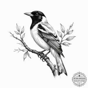 Tattoo sketch oriole, tattoo flash sheet desi... - эскиз тату (№1757278293_0, 07.09.2025 20:51) — tattoo-photo.ru
