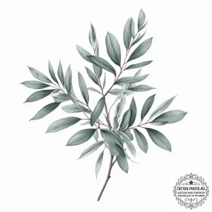 Tattoo sketch eucalyptus branch - эскиз тату (№1757311680_0, 08.09.2025 06:08) — tattoo-photo.ru