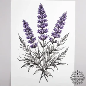 Tattoo sketch lavender - эскиз тату (№1757476227_0, 10.09.2025 03:50) — tattoo-photo.ru