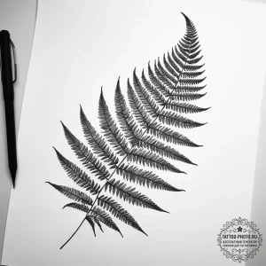 Tattoo sketch fern, ink illustration for tatt... - эскиз тату (№1757810815_0, 14.09.2025 00:46) — tattoo-photo.ru