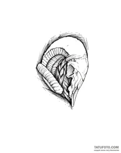 Photo-to-sketch – Стандарт – Photo-to-Sketch [5f9e44]